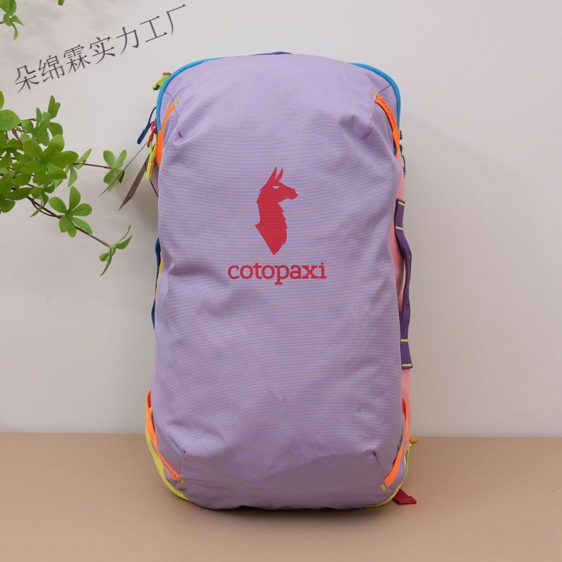 Women Bags Deals - 防水カラーブロックバックパック男性女性大容量旅行バッグアウトドアハイキングバックパック軽量スクールブックバッグラップトップデイパック 2026